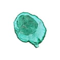 thumbnail image 2 of Phillip, Jamie 18x15 White Modern Wood Framed Museum Art Print Titled - Wood Rings, 2 of 4