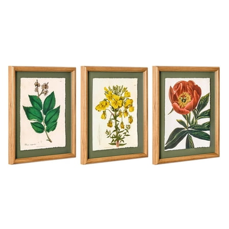 Beautiful Framed Vintage Florals Elm Tree Leaves-Yellow Flowers-Peony Flower 3-Piece Set by Drew Barrymore 10" X 12"