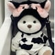 thumbnail image 3 of Osito de peluche hecho a mano, juguete de peluche que cambia de vestido, bolsa de miel, muñeca de peluche de tela para niña, regalo de Navidad para niños, solo tela sin muñeca, tigre negro, solo tel, 3 of 5