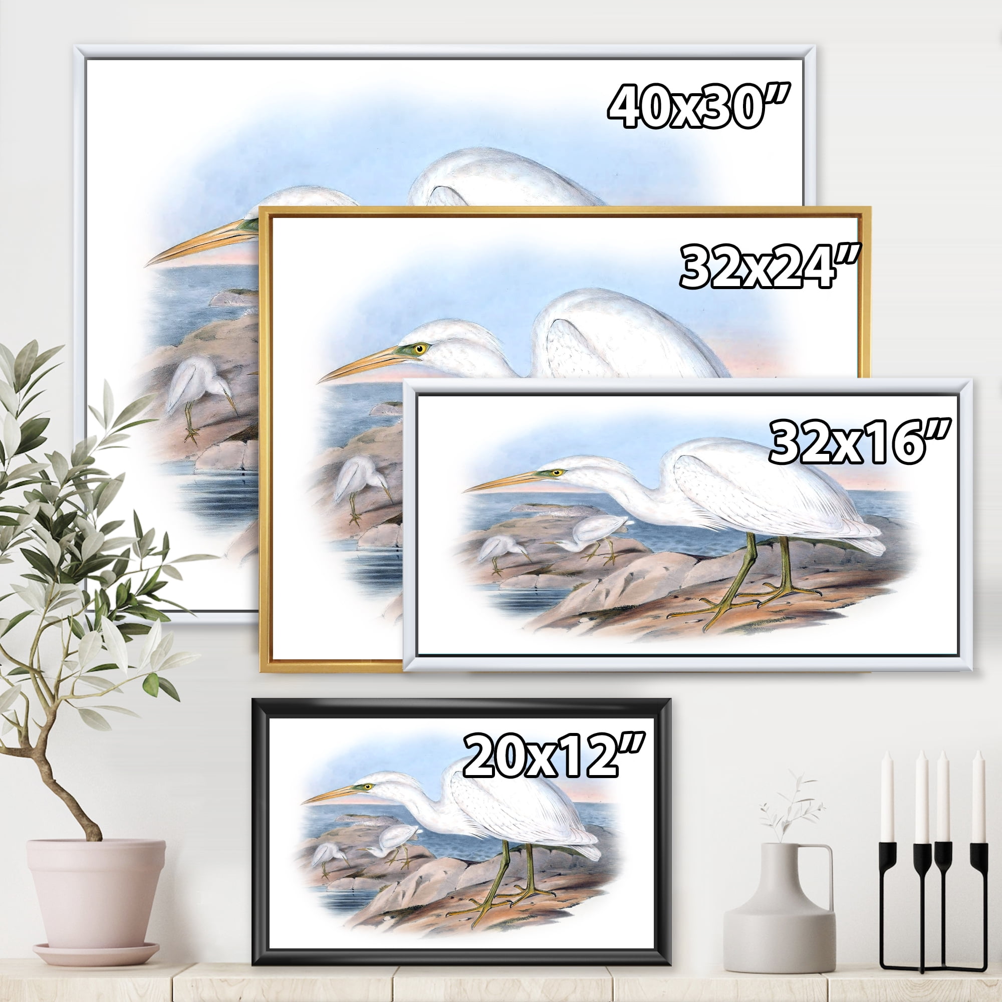 Designart 'Ancient Australian Birds XIII' Traditional Framed Canvas Wall Art Print