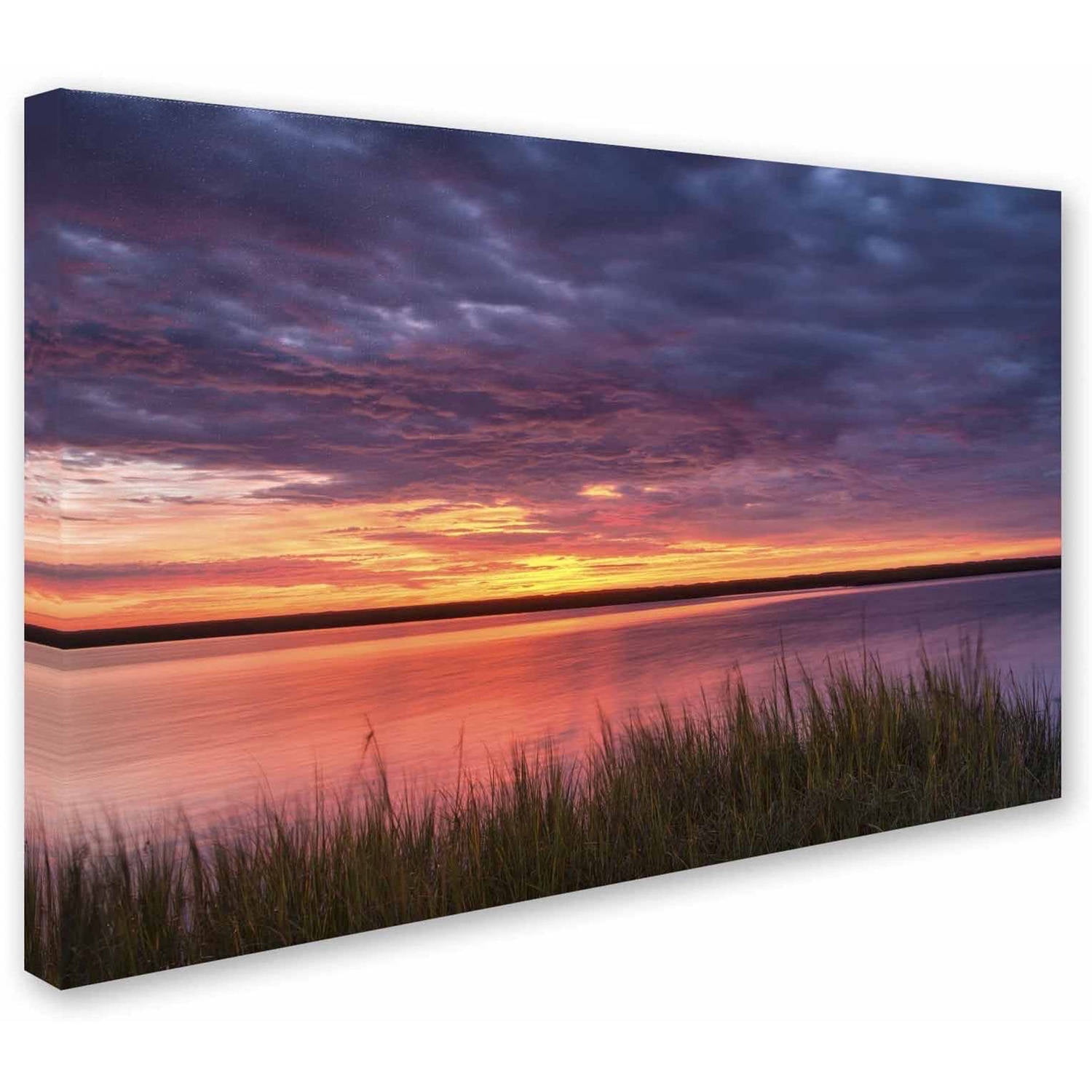 Trademark Fine Art 'Drama at the Marsh' Canvas Art by Michael Blanchette Photography