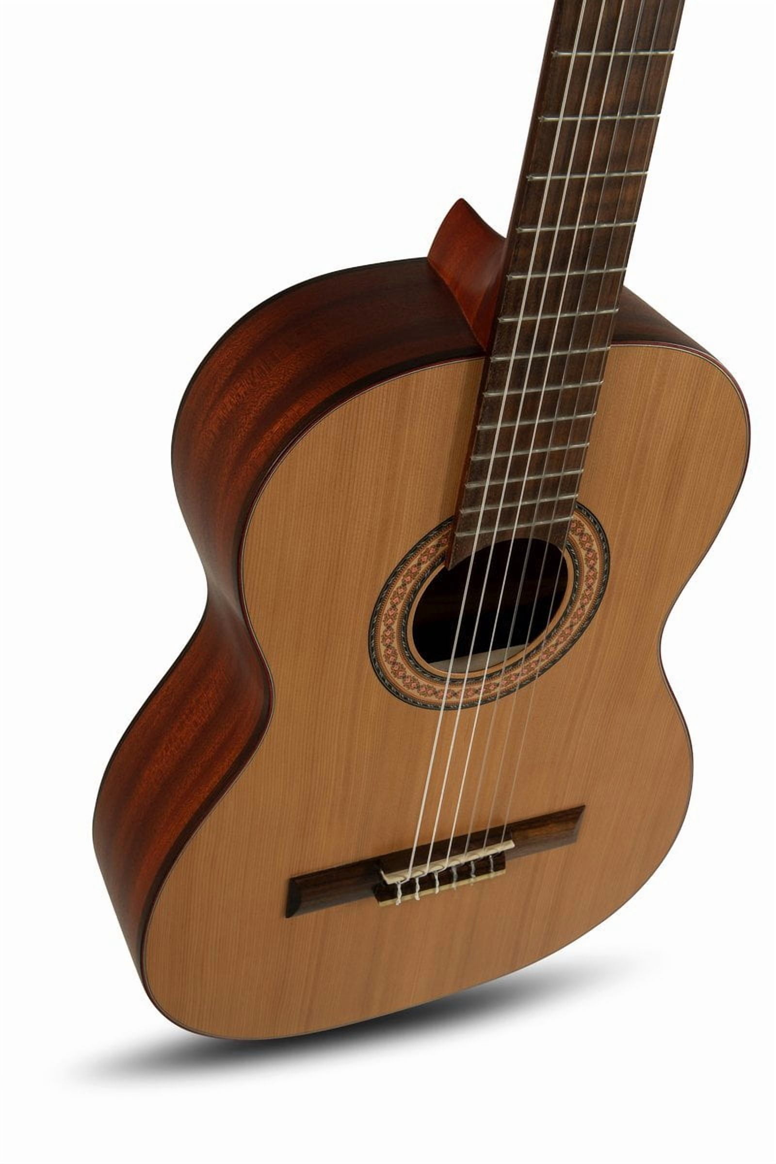 Manuel Rodriguez Tradicion T-62 7/8 Classical Guitar  Solid Cedar Top