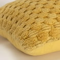 thumbnail image 4 of Rizzy Home 20" x 20" Poly Filled Pillow, 4 of 5
