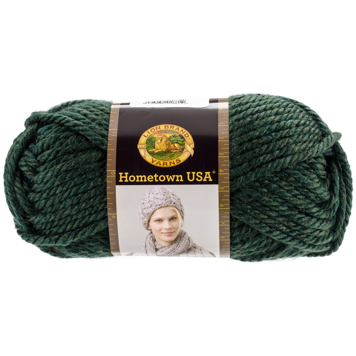 Lion Brand Hometown USA Vermont Green Yarn
