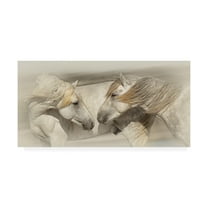 Trademark Fine Art 'Old Acquaintances' Canvas Art by PHBurchett