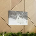 thumbnail image 6 of Majestic Snow Hare Art Majestic Snow Hare Print Animal Wall Art Wildlife Canvas Prints Wall Art Ready to Hang Unframed, 6 of 18