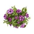 thumbnail image 2 of Bonnie Plants Sky Pink Petunia Live Flowering Plant, 25 oz., 2 of 10