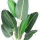 thumbnail image 4 of 48-pulgada artificial faux banana tree con pot - ideal para para home y oficina decor, 4 of 6