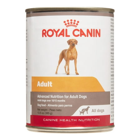 Royal Canin Canine Health Nutrition Adult Nutrition in Gel Wet Dog Food, 13.5 Oz, Case of 12
