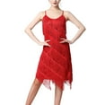 thumbnail image 3 of BLESIYA Women Sequin Tassel Dress Dancewear Dress for Samba Cha Cha L, 3 of 7