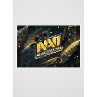 Na'Vi Logo Poster