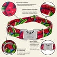 thumbnail image 4 of Country Brook Petz® Premium Summer Melon Dog Collar. Large, 4 of 6