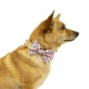 Vibrant Life Pink Collar Bow Tie Slider Set for Dogs, Size XSmall