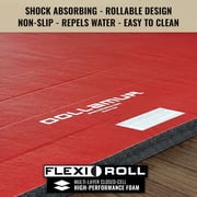 Dollamur 5x10x1.25 Wrestling Mat, Red, Workout, Exercise, Gymnastics, Yoga