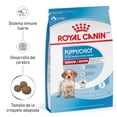 thumbnail image 2 of Combo Royal Canin Medium Puppy 2.7 Kg MAS Dos Latas Royal Canin Adulto 385 gr, 2 of 3