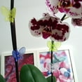 thumbnail image 4 of 30Pcs Plastic Plant Fix Clips Orchid Clips Garden Support Clip Flowers Vine Clip, 4 of 9