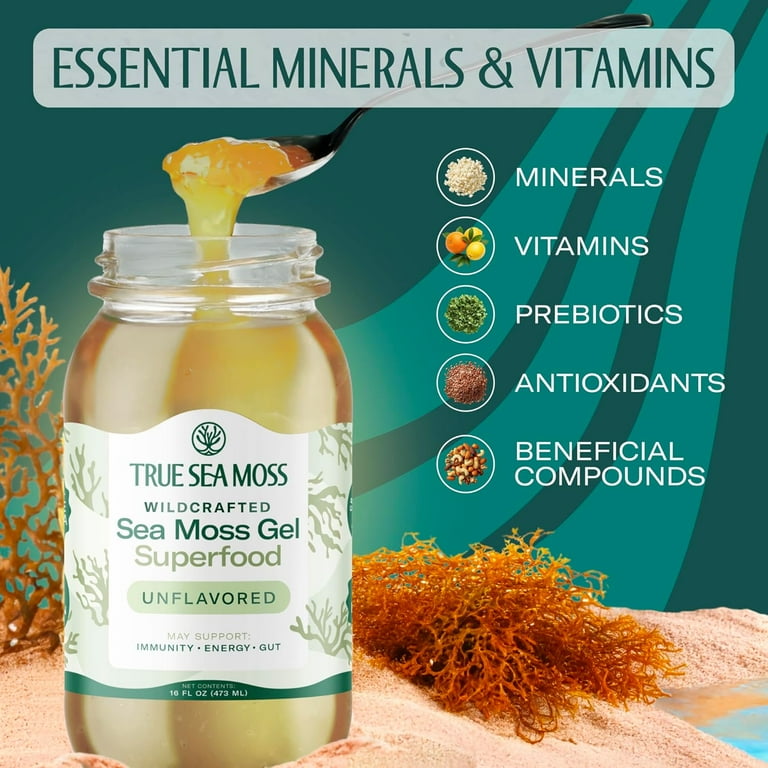 TrueSeaMoss Wildcrafted Irish Sea Moss Gel, 12 Oz 5-Pack, Nature's