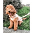 thumbnail image 2 of Fleece Vest Dog Sweater , Warm Pullover Fleece Dog Jacket with O-Ring Leash - Winter Small Dog Sweater Coat - Cold Weather Dog Clothes for Small Dogs Boy or Girl, 2 of 9