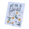 thumbnail image 4 of KLKCMS Belles Fleurs Séchées Pressées Naturelles - Remplissage, 4 of 6