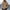 Khaki, variant on Men's Fleece Hooded Jacket Plus Size Fashion Winter Warm Sherpa Plush Zipper Fuzzy Jackets Casual Solid Color Comfort Soft Coats