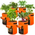thumbnail image 1 of Bolsas de cultivo Planter Gardzen de 10 galones, paquete de 6 con asas, 1 of 6
