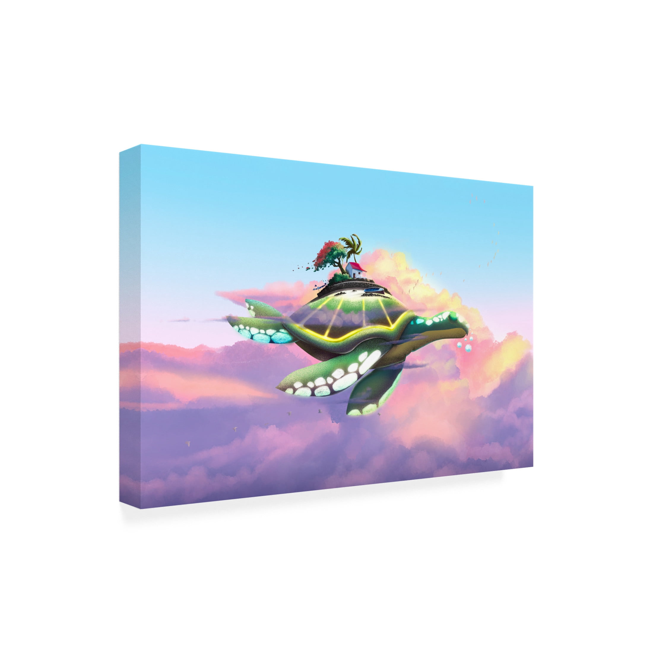 Trademark Fine Art Fadil Roze  The Floater Canvas Wall Art
