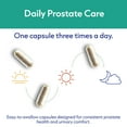 thumbnail image 4 of Dr Nutrition 360® - Prostate One - Urinary, Prostate, and Hormonal Support – 100 Capsules, 4 of 8