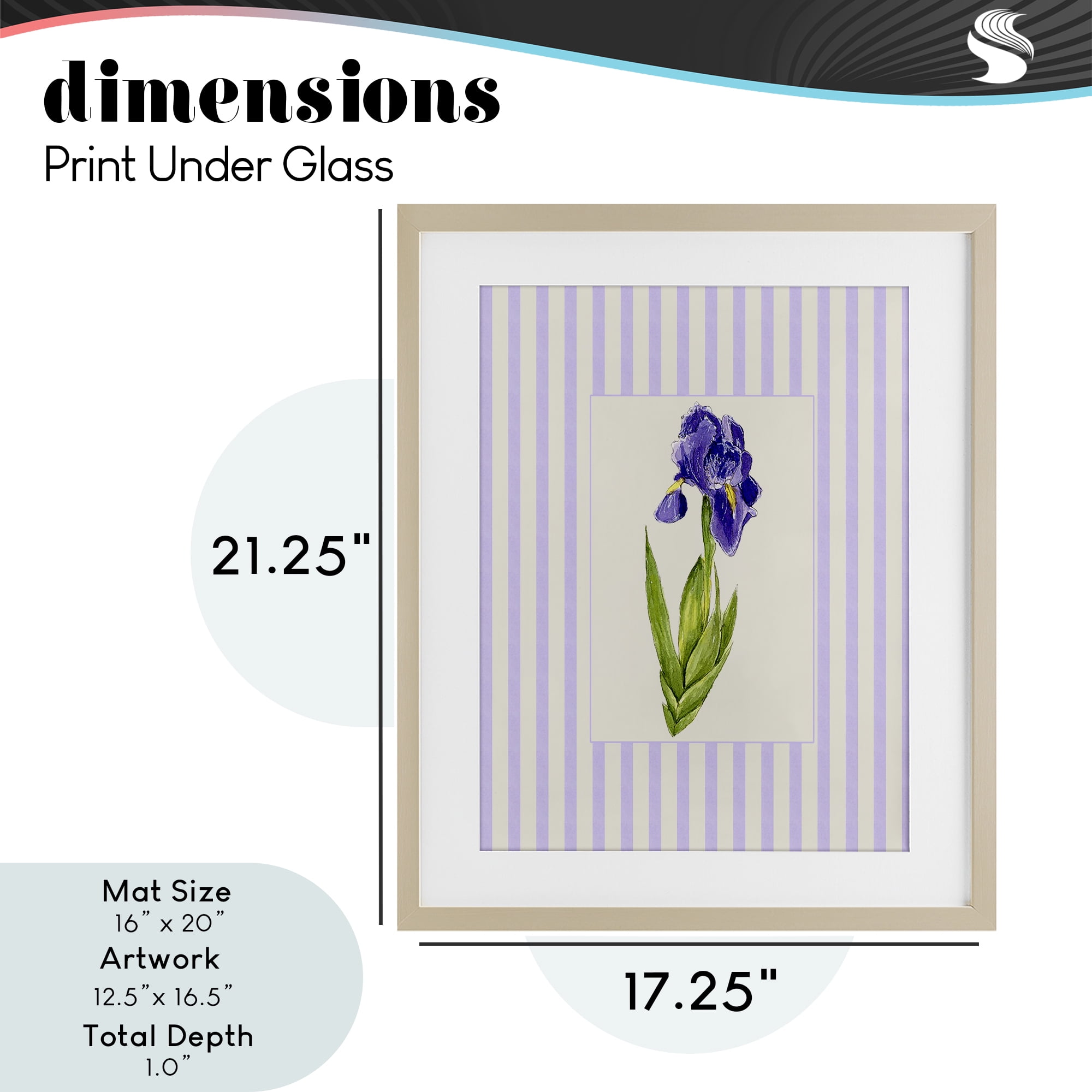 Purple Stripe Iris Birch Framed Print Under Glass, design by Lisa Wehmeyer