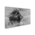 thumbnail image 2 of Trademark Fine Art 'The King Is Alone' Canvas Art by Massimo Mei, 2 of 3