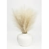 Better Homes & Gardens 14" Artificial Pampas in White Rounded Ceramic Vase