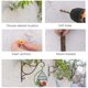 thumbnail image 2 of Soporte de planta montado en la pared de balcón, conjunto de 2 formas de pájaro europeo retro, gancho colgante de hierro forjado, para linternas de cesta con tornillos, decoración al aire libre para G Feliz Sencillez, 2 of 4
