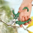 thumbnail image 3 of Stainless Steel Pruning Shears - Ergonomic Gardening Scissors for Tree and Flower Pruning, Grafting Tools with Slip-Proof Handle and Rust-Proof Blade, Ideal for Outdoor and Household Use, 3 of 6
