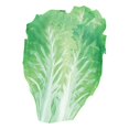 thumbnail image 3 of Disfraz de comida para adultos, disfraces de fantasía, disfraces reutilizables divertidos de comida de frutas, traje de Cosplay para actuaciones en Verduras Yinane disfraz de fruta, 3 of 7