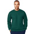 thumbnail image 1 of Hanes Sweat-Shirt Ultimate Crew 90/10 Coton/poly 10 oz Vert Forêt Profond - Large, 1 of 1