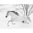 thumbnail image 2 of Walker, Carol 32x25 Gold Ornate Wood Framed with Double Matting Museum Art Print Titled - Running in the Snow, 2 of 4