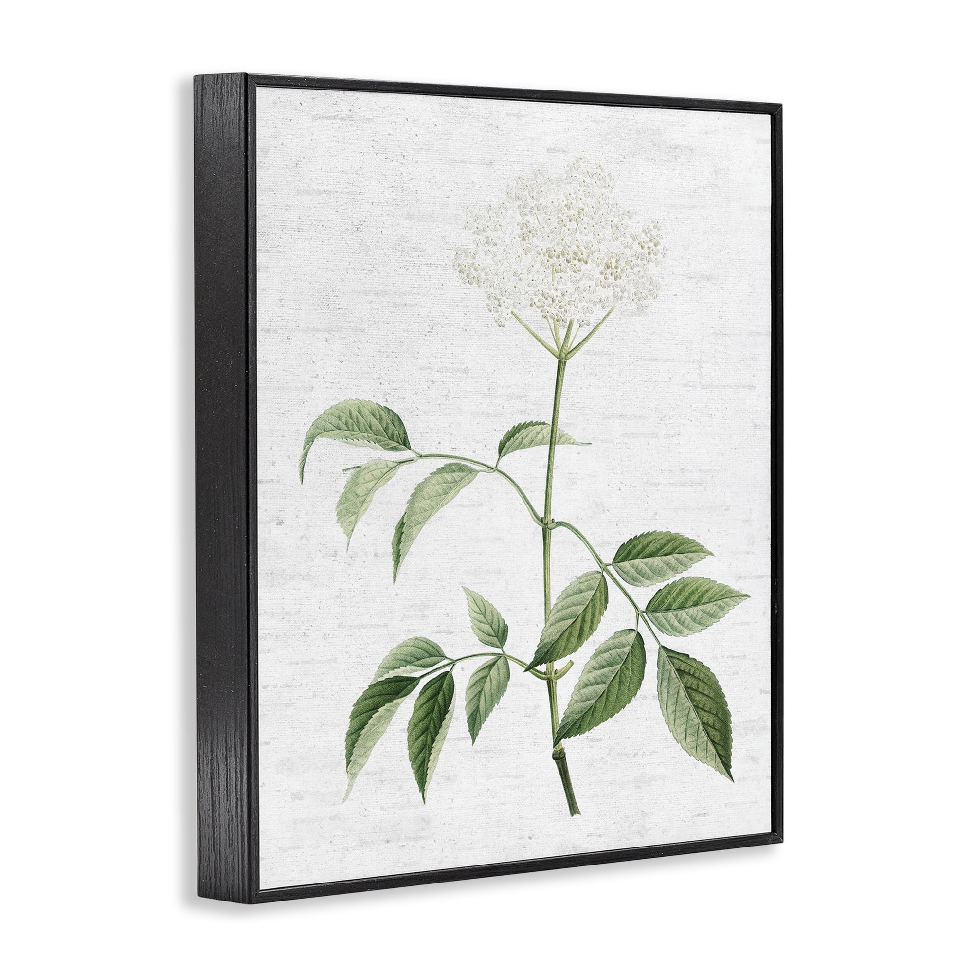 Stupell Industries Subtle Neutral Flower Botanical & Floral Painting Black Framed Art Print Wall Art, 11 x 14