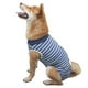 thumbnail image 2 of Traje de recuperación para perros, camiseta de verano transpirable de rayas de 4 patas para perros después de una cirugía, suministros para mascotas, 2 of 12