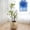 P2_Blue 0.51x0.7in, variant on ERTZAE Orchid Clips,Plant Clamp,Support Climbing Of Flower Stems,Garden Vine Training,Single Stem Plant Vines,Indoor Flower Gardening Fixing Clip Supplies,Blue 0.51x0.7in Blue 6-Claw Plant Clip
