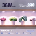 thumbnail image 2 of Lámpara LED de cultivo Barrina Orbgrow OG09 Puck 36W para plantas de interior, 2 of 9