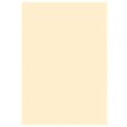 thumbnail image 2 of Amscan Disposable Rectangular Plastic Party Table Cover Tableware, Crème, Plastic , 53" X 108" Pary Supplies, 2 of 2