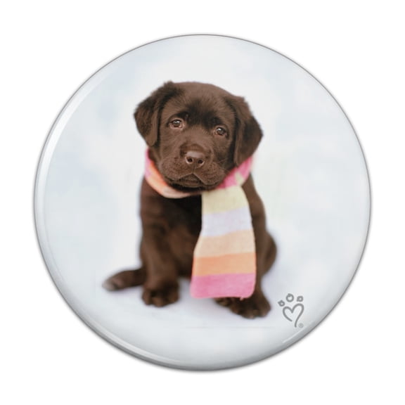 Lab Labrador Puppy Dog Wearing Scarf Kitchen Refrigerator Locker Button Magnet