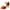 Red, variant on BADHUD Women's Latin Dance Shoes Satin Professional Practice Performance Sparkly Dance Dancing Shoes