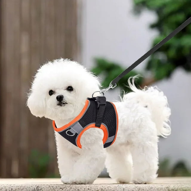 Riforla 1 PCS Dog Harness for Small Medium Large Dogs No Pull Puppy Harness and Leash Set Dog Harness for Walking Running Training Small Dog Harness Medium Dog Harness Chest Strap H S