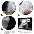 thumbnail image 3 of Designart "Rodent Wonders White Small wall art" Animals Floater Framed Canvas Wall Art, 3 of 7