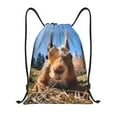 thumbnail image 1 of Saiise Close-Up Curious Squirrel Pattern Sports Drawstring Backpack - String Swim Gym Bag with Wet Proof Pocket for Women&Men-Small, 1 of 6