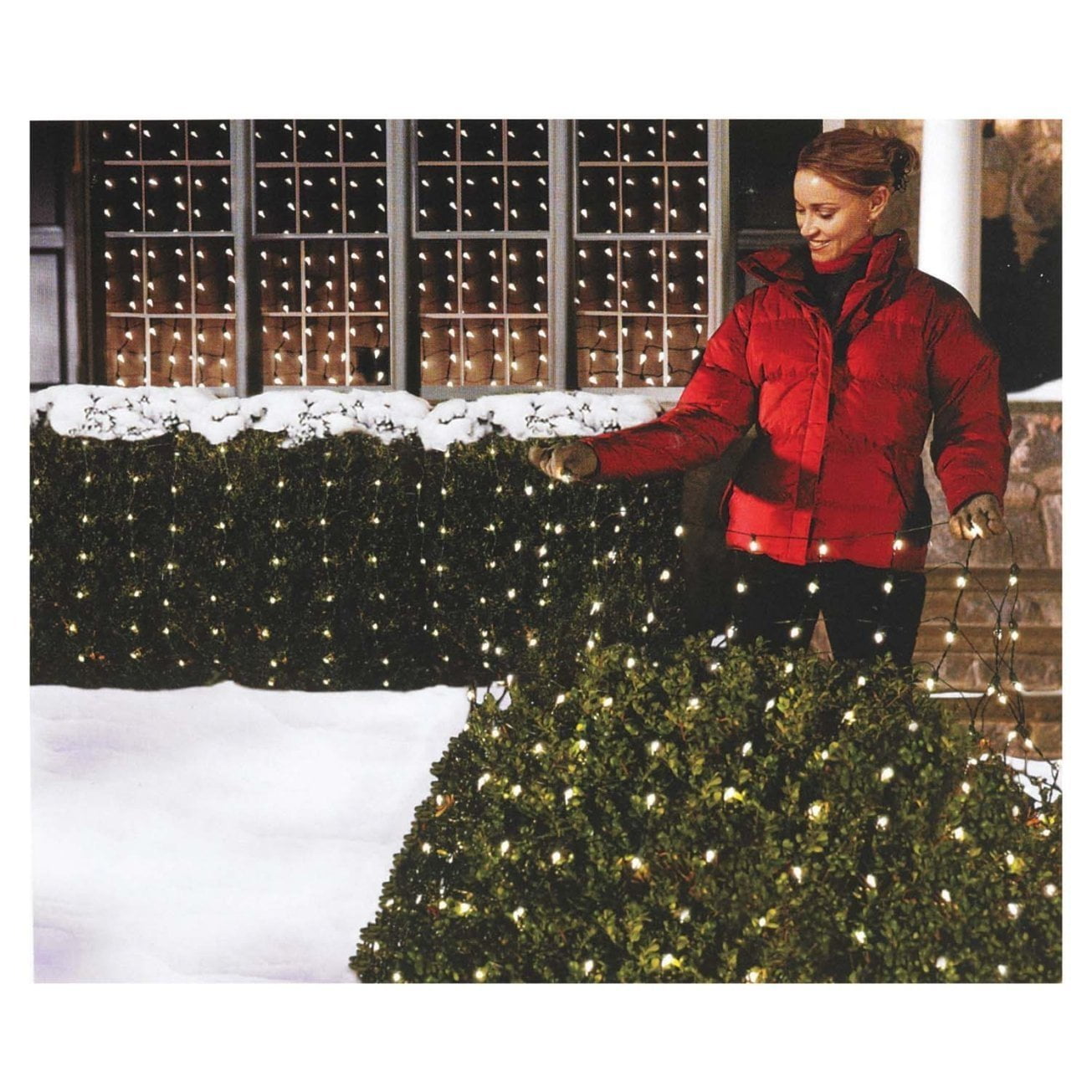 Celebrations P92M41A1 Twinkle Net Light Set, 4' L x 6' W, 150 Clear