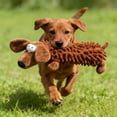 thumbnail image 4 of BotaniNest Hard And Squeaky Chew For To Chew Their Teeth Durable And For Aggressive Chewers Interactive Care For Small And Large, 4 of 6