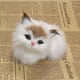 thumbnail image 5 of Juegos de Realistas Gato con Marco Verdadero Piel Animal Pasatiempos Juegos para y Jóvenes Hugo Gato realista, 5 of 9