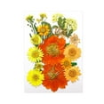thumbnail image 1 of Flores prensadas secas, juego de flores de , hermosa artesanía, fabricación de velas, Material de fabricación DIY para pantallas de , Mezclar amarillo, 1 of 8
