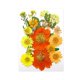 thumbnail image 1 of Flores secas prensadas, pegatinas de maquillaje de flores secas, flores secas reales para decoración de uñas Mezclar amarillo, 1 of 9